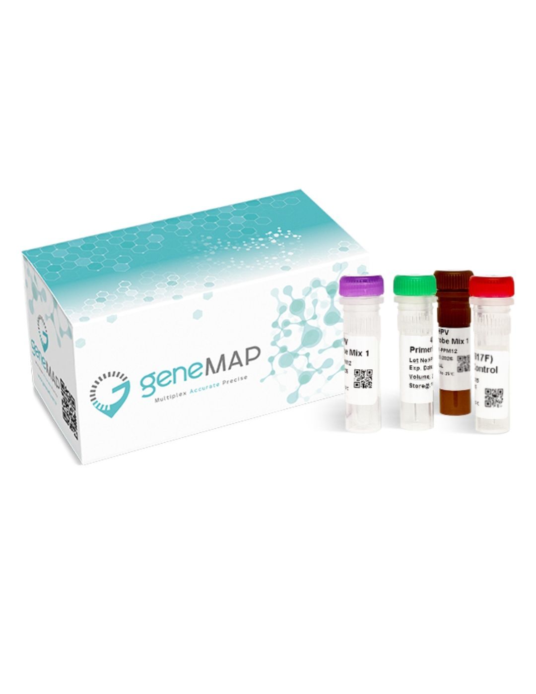 geneMAP™ FV Leiden Mutation Detection Kit