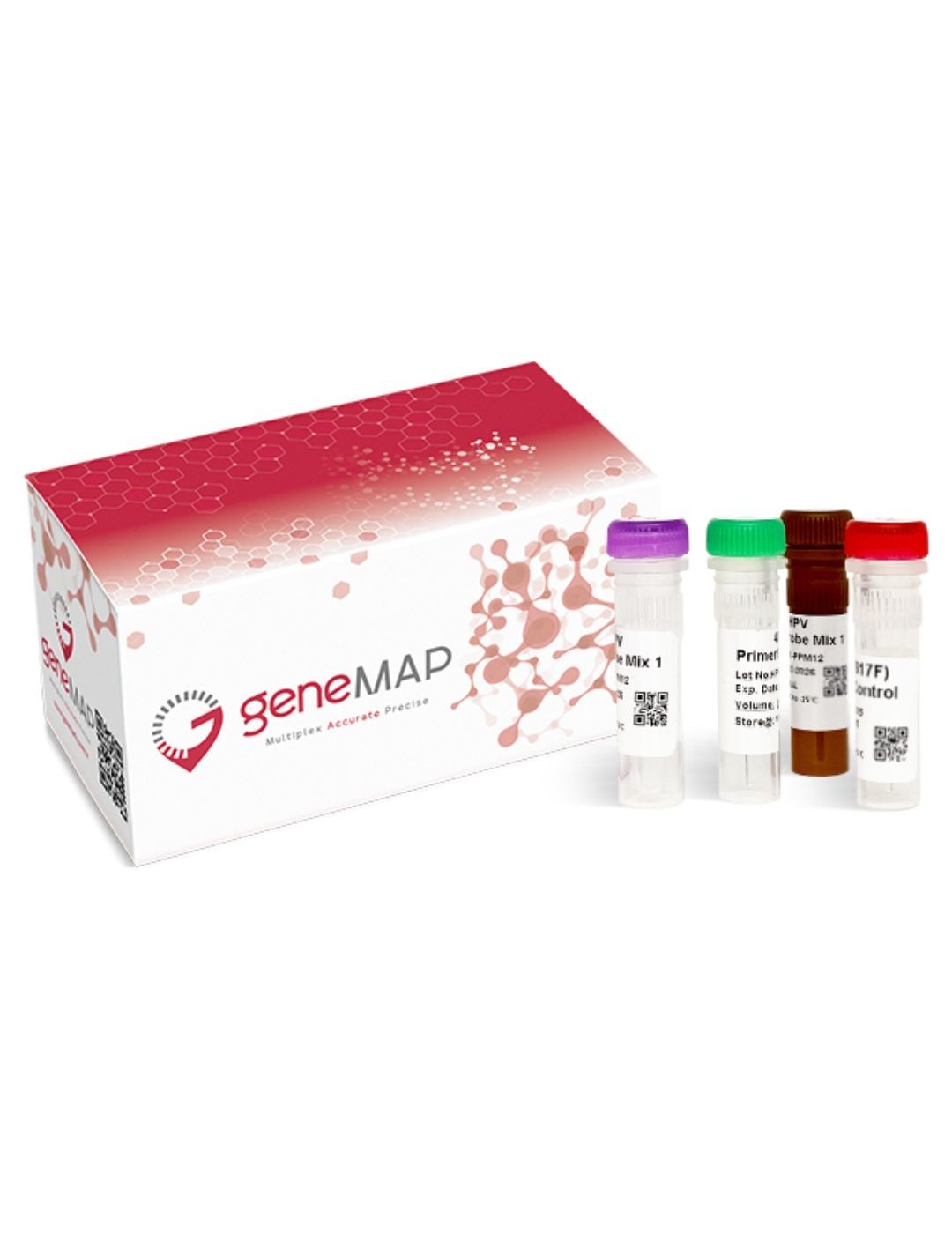 geneMAP™ 2019-nCoV (SARS-CoV-2) Detection Kit