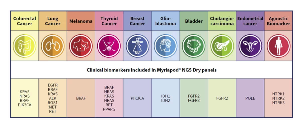 Myriapod NGS BRCA 1-2 panel (48 test, CE IVD)